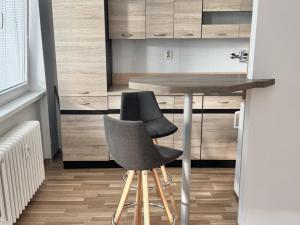 Prodej bytu 1+kk, Ostrava - Polanka nad Odrou, Heleny Salichové, 27 m2