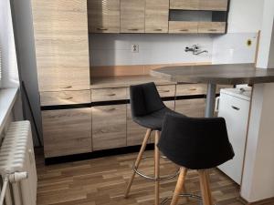 Prodej bytu 1+kk, Ostrava - Polanka nad Odrou, Heleny Salichové, 27 m2