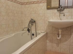 Prodej bytu 1+kk, Ostrava - Polanka nad Odrou, Heleny Salichové, 27 m2
