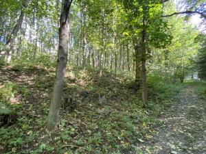 Prodej lesa, Lánov - Horní Lánov, 652 m2