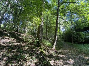 Prodej lesa, Lánov - Horní Lánov, 652 m2