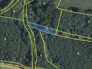 Prodej lesa, Lánov - Horní Lánov, 652 m2