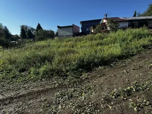 Dražba rodinného domu, Havířov, Stará, 180 m2