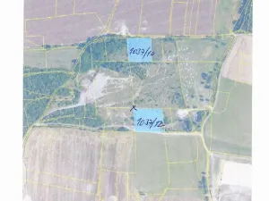 Dražba pozemku, Čisovice, 11062 m2