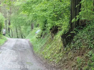 Dražba pozemku, Medonosy, 15430 m2