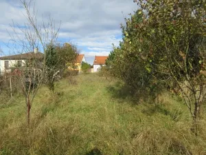 Prodej pozemku pro bydlení, Skály, 1000 m2