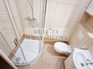 Prodej bytu 1+1, České Budějovice - České Budějovice 3, Riegrova, 25 m2