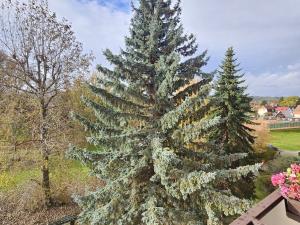 Prodej bytu 4+1, 92 m2