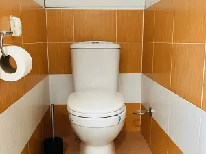 Pronájem bytu 2+1, Kladno, Čs. armády, 48 m2