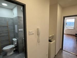 Pronájem bytu 1+kk, Rožnov pod Radhoštěm, Valašská, 28 m2