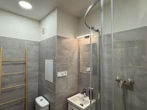 Pronájem bytu 1+kk, Rožnov pod Radhoštěm, Valašská, 28 m2