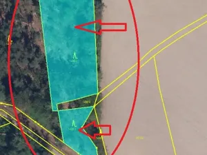 Prodej lesa, Bolehošť, 3558 m2