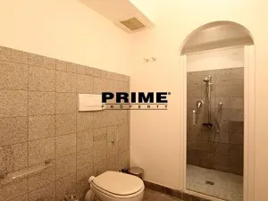 Pronájem bytu 2+kk, Praha - Malá Strana, Vlašská, 92 m2