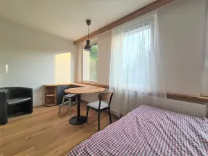 Prodej bytu 1+kk, Praha - Vinohrady, Perucká, 28 m2