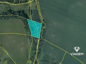 Prodej podílu lesa, Dvorce, 996 m2