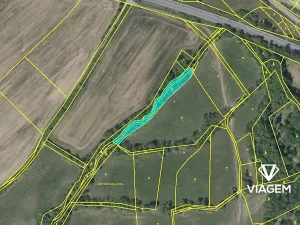 Prodej podílu lesa, Sobotka, 1141 m2