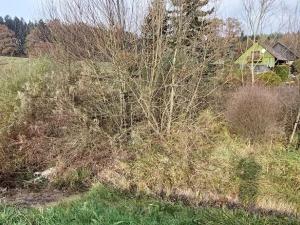 Prodej pozemku, Lázně Bělohrad, 1005 m2