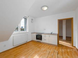 Pronájem bytu 2+kk, Plzeň, Borská, 43 m2