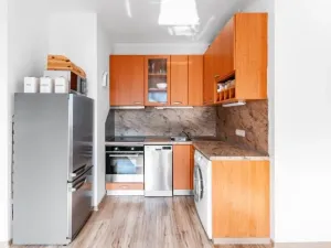 Pronájem bytu 2+kk, Praha - Vinohrady, U Zvonařky, 60 m2