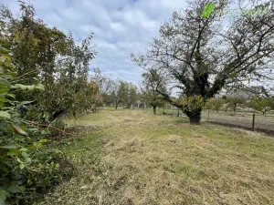 Prodej zahrady, Hodonín, 710 m2