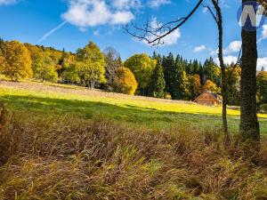 Prodej louky, Stožec, 6572 m2