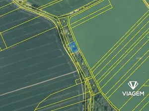 Prodej lesa, Počenice-Tetětice, 630 m2