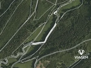 Prodej lesa, Třebovice, 657 m2