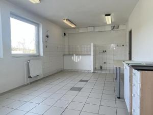 Pronájem kanceláře, Praha - Hrdlořezy, Českobrodská, 300 m2