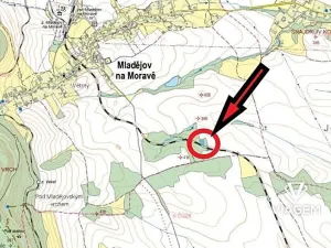 Prodej podílu lesa, Mladějov na Moravě, 1594 m2