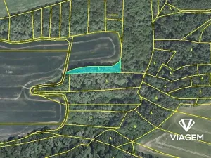 Prodej podílu lesa, Pavlíkov, 690 m2