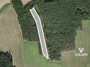 Prodej podílu lesa, Koloveč, 2021 m2