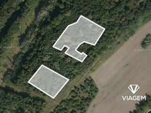 Prodej podílu lesa, Doubrava, 2975 m2