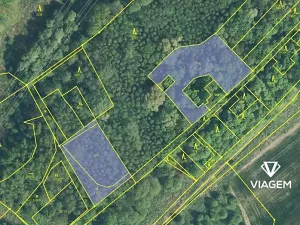 Prodej podílu lesa, Doubrava, 2975 m2