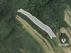 Prodej podílu lesa, Kuřimská Nová Ves, 6242 m2