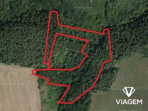 Prodej podílu lesa, Chlum, 2803 m2