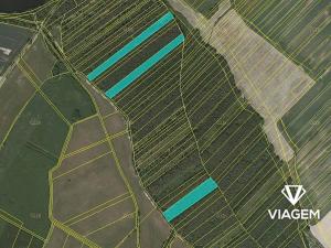 Prodej podílu lesa, Komárov, 8639 m2