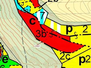 Dražba lesa, Čestín, 7932 m2