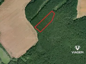 Prodej podílu lesa, Slatiny, 2288 m2