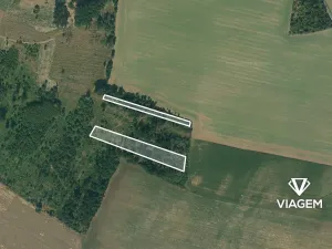 Prodej lesa, Bačice, 8463 m2