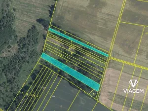 Prodej lesa, Bačice, 8463 m2