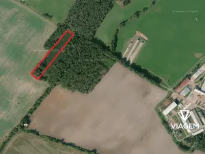 Prodej podílu lesa, Živanice, 3988 m2