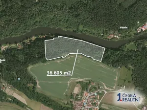 Prodej lesa, Bečice, 36578 m2