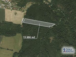 Prodej lesa, Opava, 15606 m2
