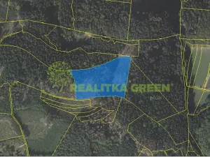 Prodej lesa, Růžďka, 21209 m2