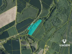 Prodej podílu pole, Bžany, 755 m2