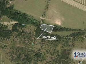 Prodej podílu zahrady, Znojmo, 2752 m2