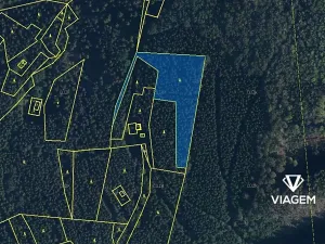 Prodej podílu lesa, Morávka, 5587 m2