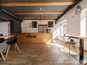 Pronájem restaurace, Otrokovice, Dr. E. Beneše, 237 m2