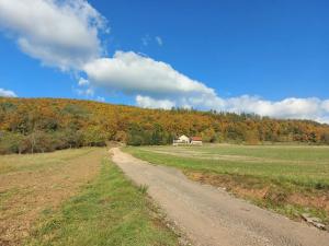 Prodej pozemku pro bydlení, Lomnička, 3600 m2