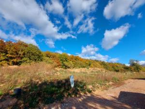 Prodej pozemku pro bydlení, Lomnička, 3600 m2